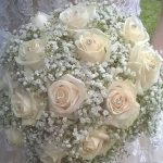 floridea moretta 02