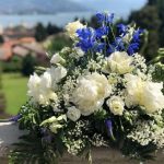 floridea moretta 03