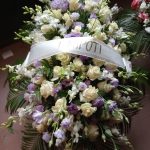 floridea moretta 16