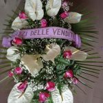 floridea moretta 18