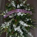 floridea moretta 19