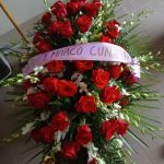 floridea moretta 20