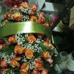 floridea moretta 25