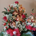 floridea moretta 26