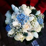 floridea moretta 27