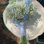 floridea moretta 31