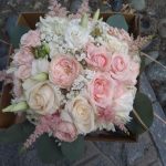 floridea moretta 32