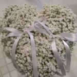 floridea moretta 33